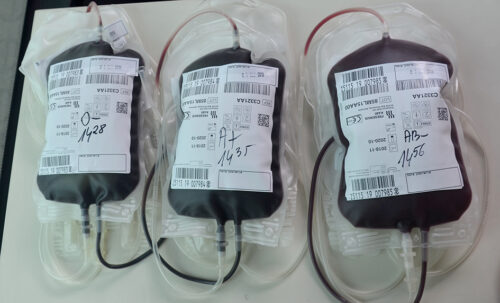 3444 osoby = 1555 litrów krwi