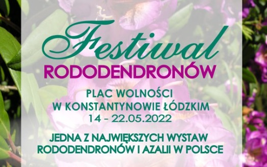 Festiwal rododendronów w Konstantynowie