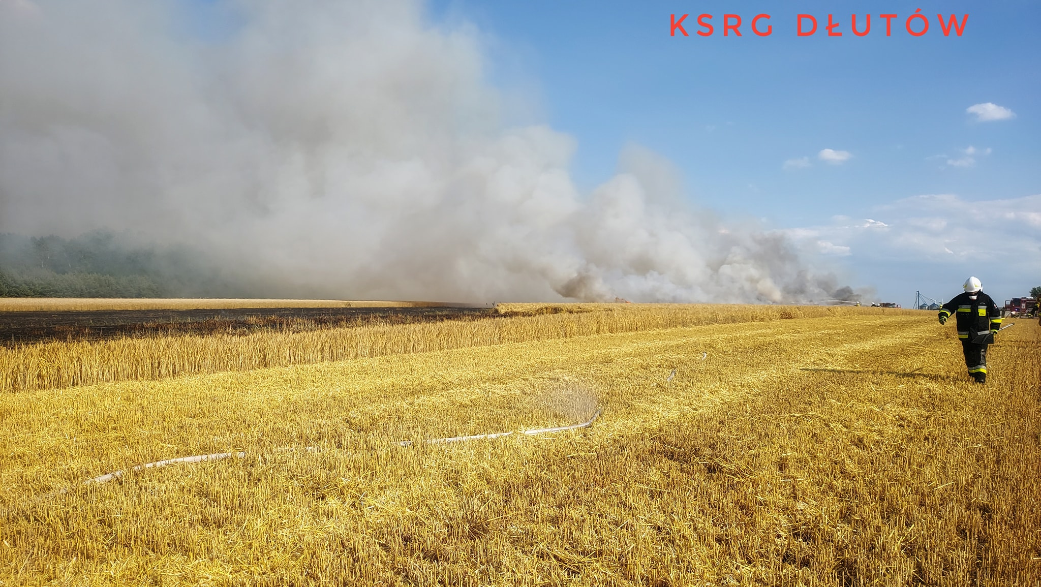 8 hektarów poszło z dymem